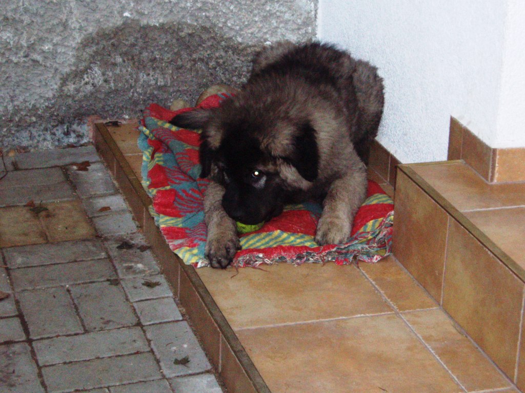Agatka_036.jpg