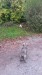 20141027_124121