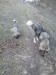 IMG_20180211_155835